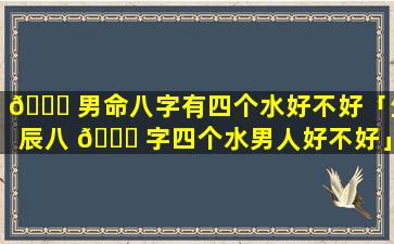 💐 男命八字有四个水好不好「生辰八 🐅 字四个水男人好不好」